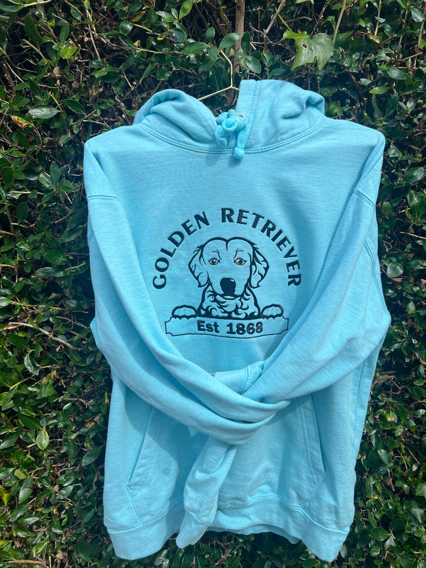 Golden Retriever Hoodie - Seafoam Green